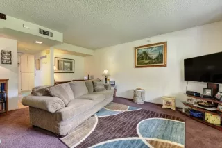 Photo #5: 221087806 Listing