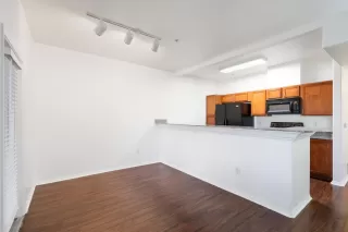 Photo #4: 221087863 Listing