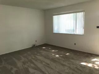 Photo #4: 221088474 Listing 