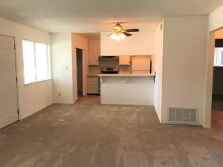 Photo #6: 221088474 Listing 
