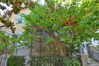 Photo #1: 221088760 Listing