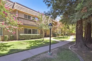 Photo #1: 221089103 Listing