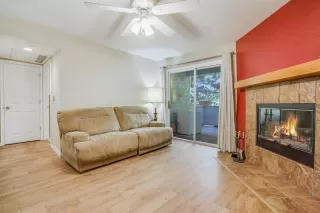 Photo #5: 221089788 Listing