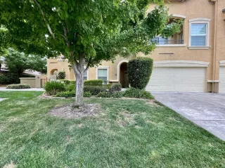 Photo #3: 221090467 Listing 