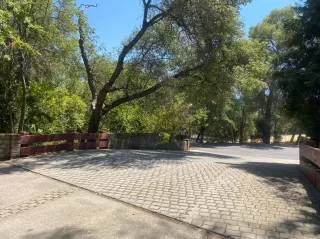 Photo #4: 221090518 Listing