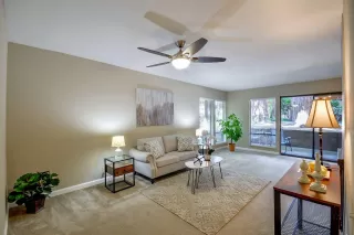 Photo #1: 221092288 Listing