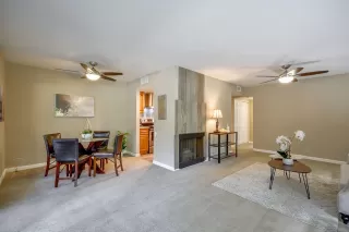 Photo #5: 221092288 Listing