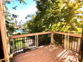 Photo #1: 221092468 Listing