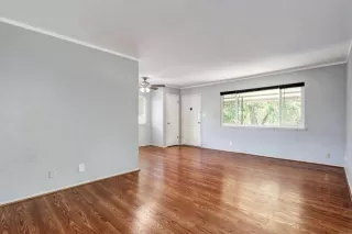 Photo #4: 221092571 Listing 