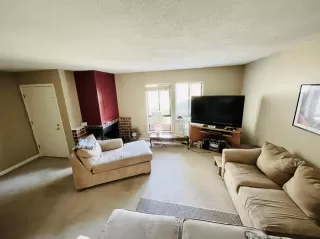 Photo #2: 221092774 Listing