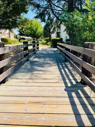 Photo #4: 221092783 Listing