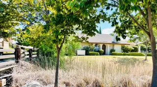 Photo #5: 221092783 Listing