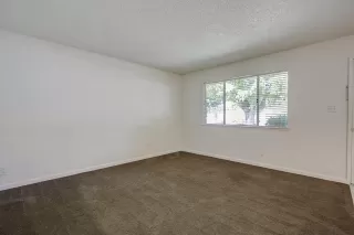 Photo #5: 221093727 Listing 