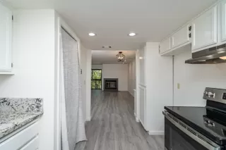 Photo #4: 221095778 Listing 