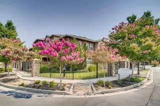 Photo #3: 221098299 Listing