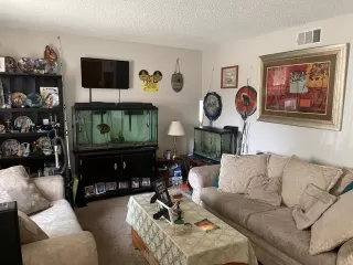 Photo #1: 221100158 Listing 