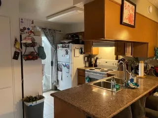 Photo #4: 221100176 Listing 