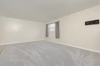 Photo #4: 221100594 Listing 