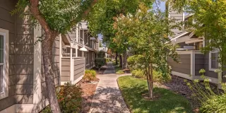 Photo #4: 221101255 Listing 