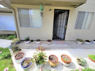 Photo #2: 221102859 Listing 
