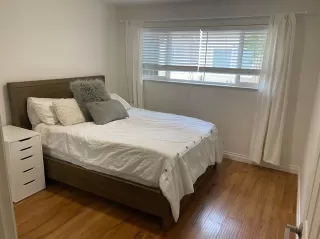 Photo #1: 221103739 Listing