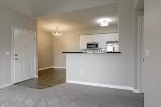 Photo #4: 221105913 Listing 