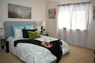 Photo #3: 221106437 Listing