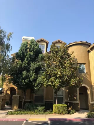 Photo #1: 221107325 Listing