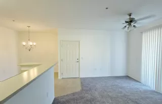 Photo #4: 221108644 Listing