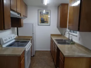 Photo #4: 221109194 Listing 
