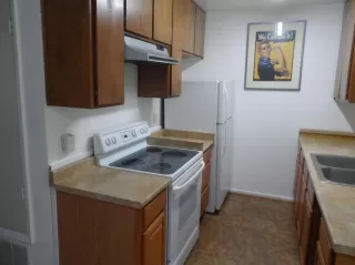 Photo #5: 221109194 Listing 