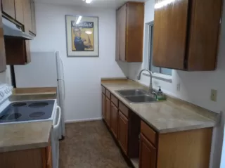 Photo #6: 221109194 Listing 