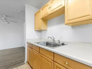 Photo #3: 221109525 Listing 