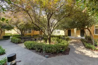 Photo #3: 221110413 Listing