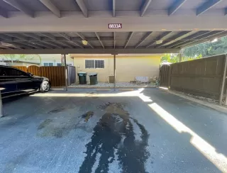 Photo #2: 221110979 Listing