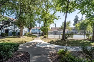 Photo #2: 221112684 Listing