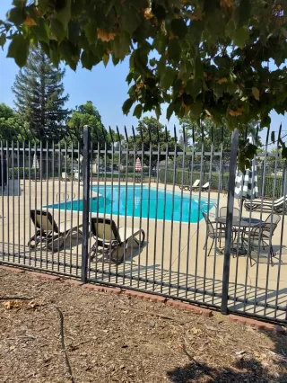 Photo #5: 221113162 Listing 