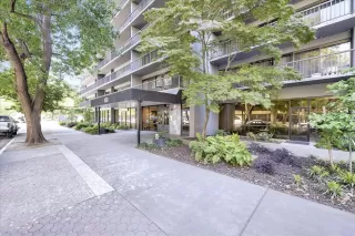 Photo #1: 221114343 Listing 