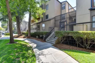 Photo #1: 221114706 Listing