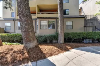 Photo #3: 221114706 Listing