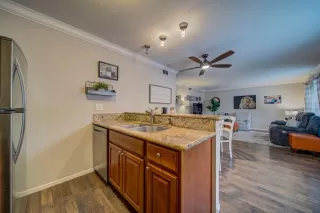 Photo #6: 221116244 Listing 