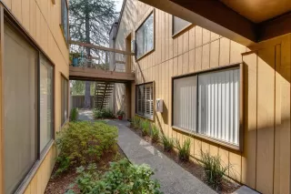 Photo #1: 221118443 Listing