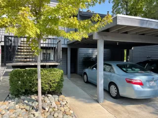 Photo #1: 221120995 Listing