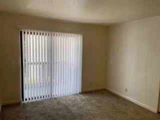 Photo #6: 221120995 Listing