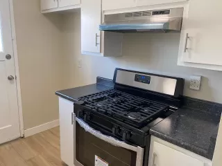 Photo #4: 221121161 Listing