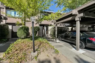 Photo #1: 221121382 Listing