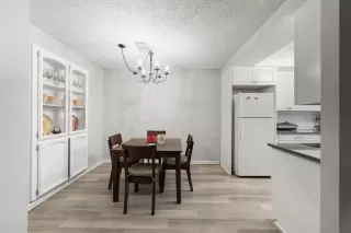 Photo #5: 221122425 Listing