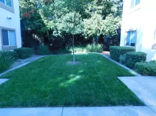 Photo #2: 221122638 Listing 