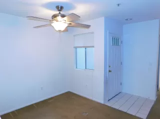 Photo #5: 221122638 Listing 