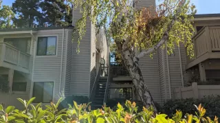 Photo #1: 221123458 Listing 